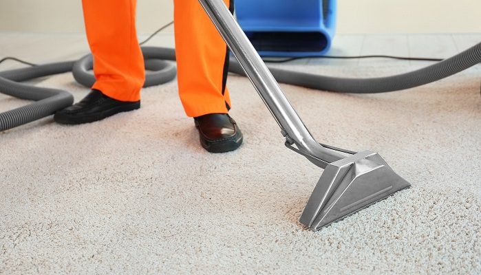 6 Steps To Keep Your Carpets Dust & Dirt Free