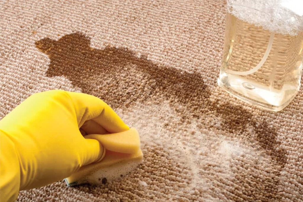 What Can I Use To Get A Stain Out Of My Carpet at Ruby Holt blog