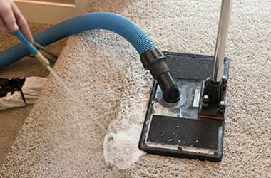 Carpet Sanitization