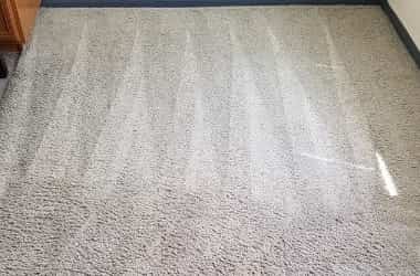 Quick Dry Carpet Cleaning