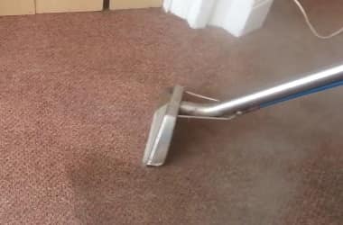 Steam Carpet Cleaning