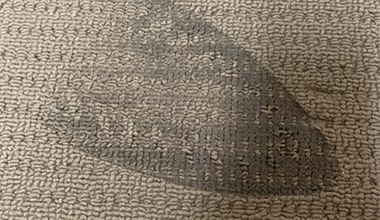 Carpet Burn Repair Adelaide