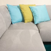 Suede Couch Cleaning Adelaide