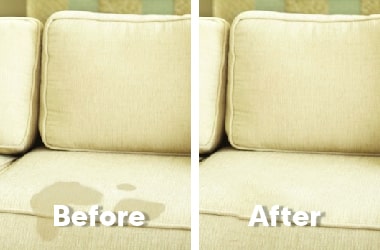Couch pet urine removal service in Adelaide