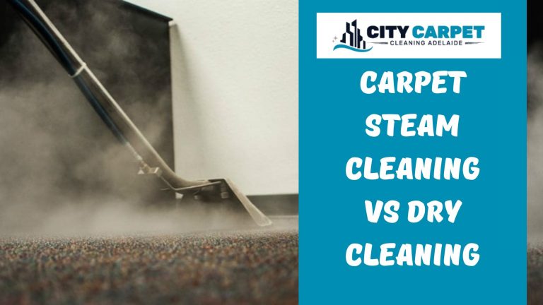 Carpet Steam Cleaning vs Dry Cleaning