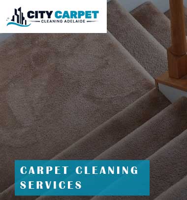 Schedule appointment for carpet cleaning steam cleaning Adelaide