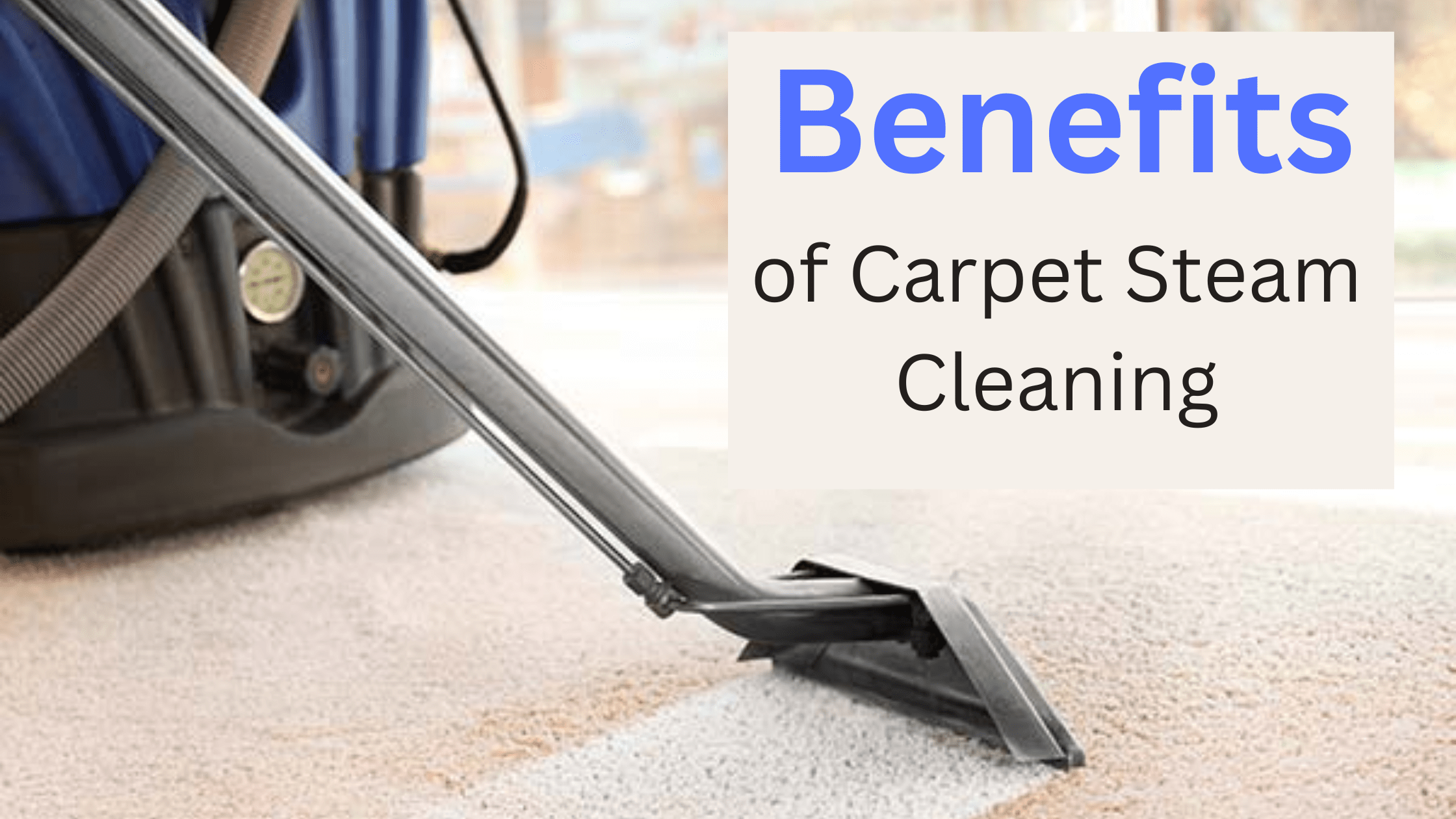 Benefits of Carpet Steam Cleaning 7 Benefits Of Steam Cleaning