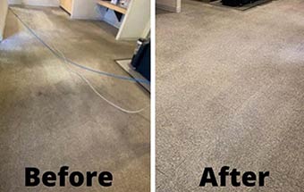 Best Carpet Cleaning Services in Glenelg