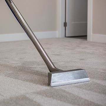 Carpet odour removal