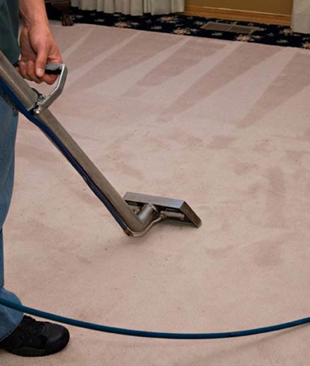 City Carpet Cleaning Your Best Option