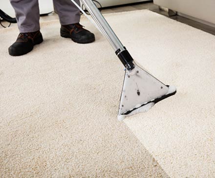 Get Stain Free Carpets