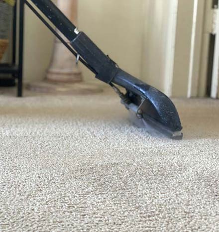 Our Services For Cleaning Their Carpets In Grange