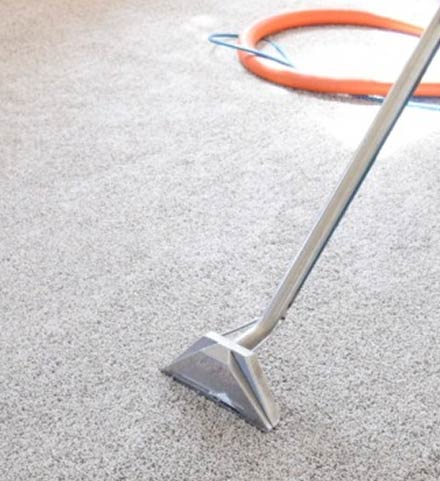 Stains From Your Carpet With Experts