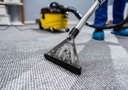 Why Trust Our Carpet Cleaning Blakeview Services