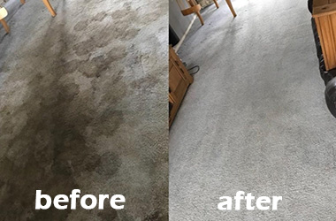 End Of Lease Carpet Cleaning Before And After 5