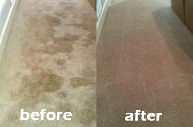 End Of Lease Carpet Cleaning Before And After 6