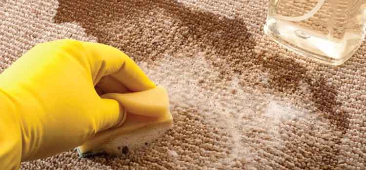 How to Get Stains Out of Carpet